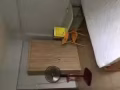 实龙岗附近 普通房出租