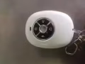 新車出售
