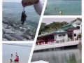 免费?口语两个月培训，点击进入