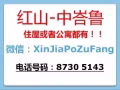 新加坡全岛整套房出租（进地铁站）！！