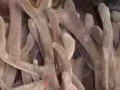 中国长白山特产 人参 鹿茸 山野菜 代购 中国长白山发货 微信a11200898