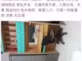 大牌507hougang ave 8一大普通房出租 5分钟后港地铁站 可报地址 