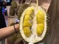 榴莲 水果之王