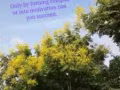 免費?口語兩個月培訓，點擊進入