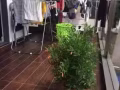 市中心公寓单间出租