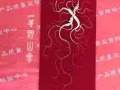 东北人参