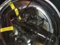 油泼龙虾 粉丝生蚝 粉丝扇贝  椒盐虾