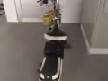 回国清理行李，电动车一辆