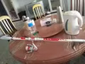 回国，处理鱼竿。