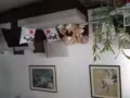 淡濱尼三房組屋出租