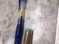 箭猪枣