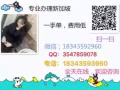 专门办理新加坡