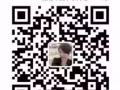 一手新加坡正规劳务中介