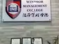 机会是留给有准备的人，提升自己，壮大自己