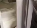 我有一个小冰箱卖二十块