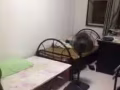 马息岭男床位出租