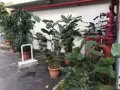 離牛車水地鐵站兩分鐘，珍珠坊，辦公室廉價辦公室，$430起，各人帶窗冷氣辦公室