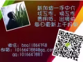 按摩师