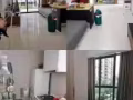 和空姐同住，租一间等于租一户 温馨公寓主人房等你来