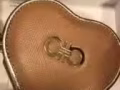 女性零钱包