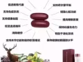 招募直销人员 单一产品鹿胎盆素逆转老化81568568