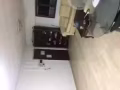 【宏茂桥】男搭房