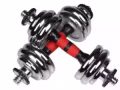 30kg / 公斤 哑铃