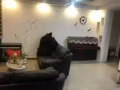 海军部688男搭房出租。新拿的房子，