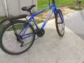 好車便宜了開看看吧
