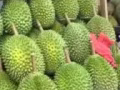 榴莲团购，免费配送