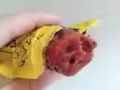 武汉周黑鸭麻辣鸭脖，东北眼睛小猫大瓜子