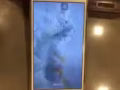 IPhone 6s plus 64G 女生用