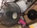 出售风扇，挂烫机，瑜伽垫，看图