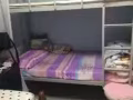 丹戎巴葛 床位出租