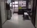 丹戎巴葛大牌2号男搭房床位出租 