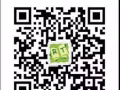 美國ReadingTown英文補習假期班開始報名 三人小班 超高關注度