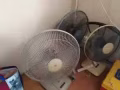 便宜卖