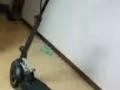 需要電動滑板車的朋友可以進來看看.價格從優