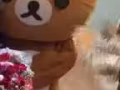 转让一个求婚小熊