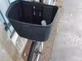女士自行车