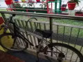 达曼裕廊大牌121