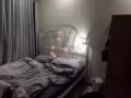 年前白菜价出租