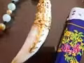 西伯利亞野生狼牙 熊牙 飾品 需要的聯繫