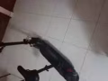 出售10寸電動滑板車，現在買還贈送兩對剎車片