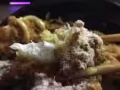 湖南菜 湘菜 蒸菜 炒菜 湘韻味