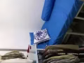 特價高文公寓小單間$500無中介費91870891，微信tnh91398391