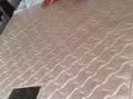七八成新的床和垫子