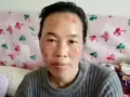 專業中醫手診，藥療 