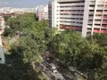淡滨尼11街女搭房250
