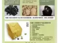 權健八卦養生儀